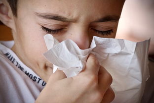 孕妇甲流发烧39度怎么退烧吃药吗_